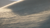 PICTURES/Death Valley - Sand Dunes/t_P1050717.JPG